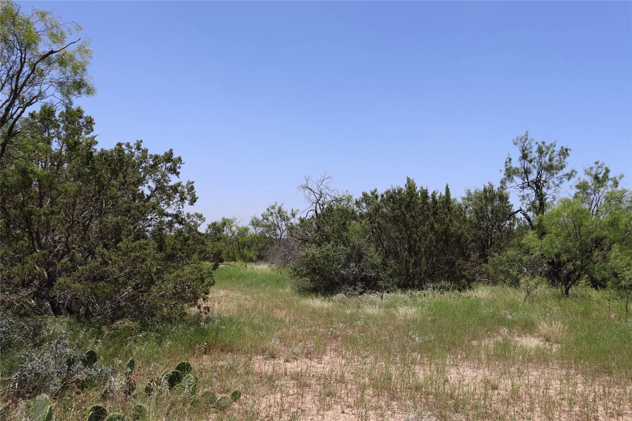 Unimproved Land For Sale in Concho County , 1234 RR11 RECREATIONAL ROAD 11, Millersview, Texas 76862, 0, 0, Garage spaces, 0 Sqft, built in 0, mls#21317813, Real Estate Agent in Millersview, Homes For Sale in Concho county, Homes For Sale in Millersview, Realtor in Millersview Texas, Real Estate Brokerage Independent Realty Texas, Luminita Cordes Realtor