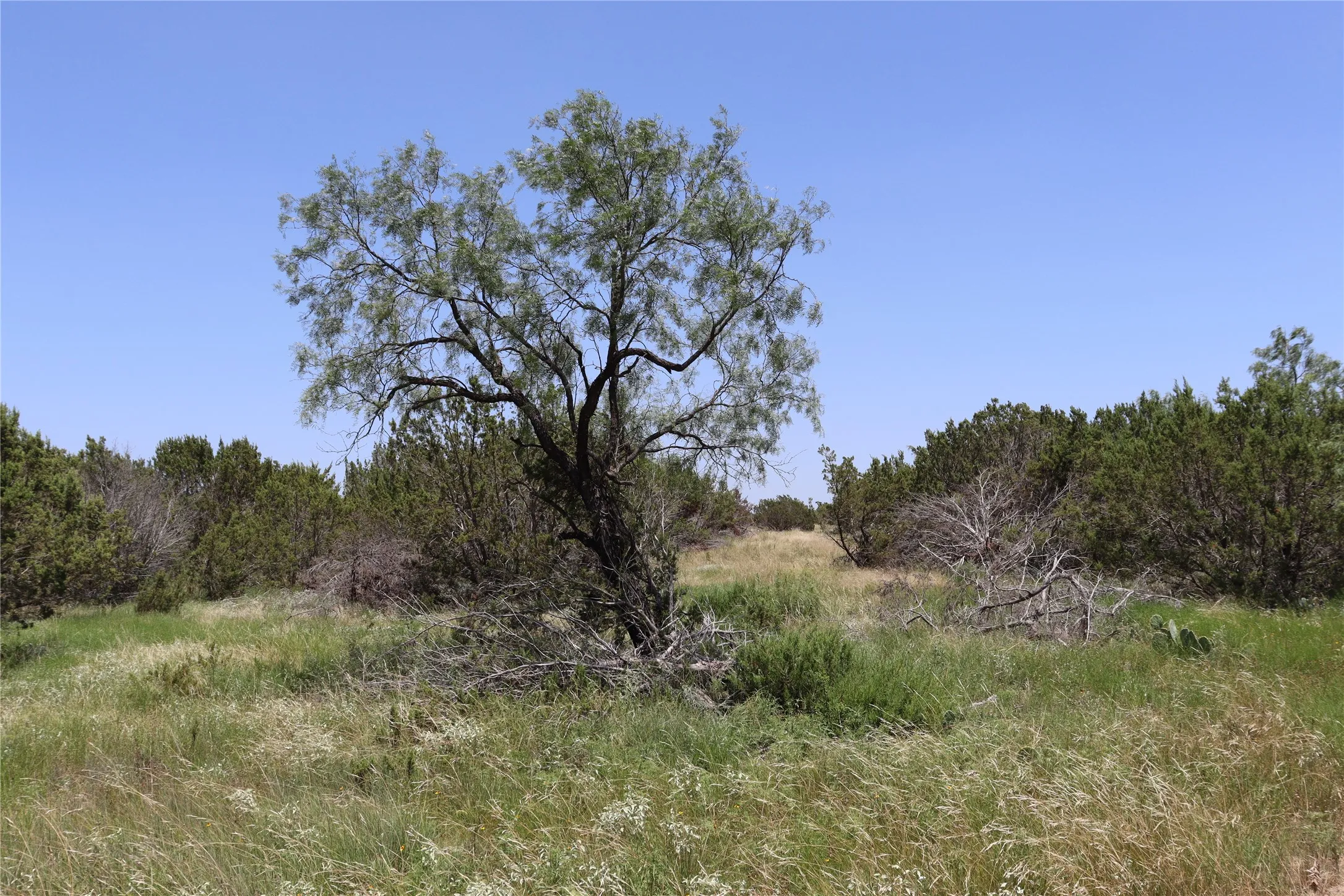 Unimproved Land For Sale in Concho County , 1234 RR11 RECREATIONAL ROAD 11, Millersview, Texas 76862, 0, 0, Garage spaces, 0 Sqft, built in 0, mls#21317813, Real Estate Agent in Millersview, Homes For Sale in Concho county, Homes For Sale in Millersview, Realtor in Millersview Texas, Real Estate Brokerage Independent Realty Texas, Luminita Cordes Realtor