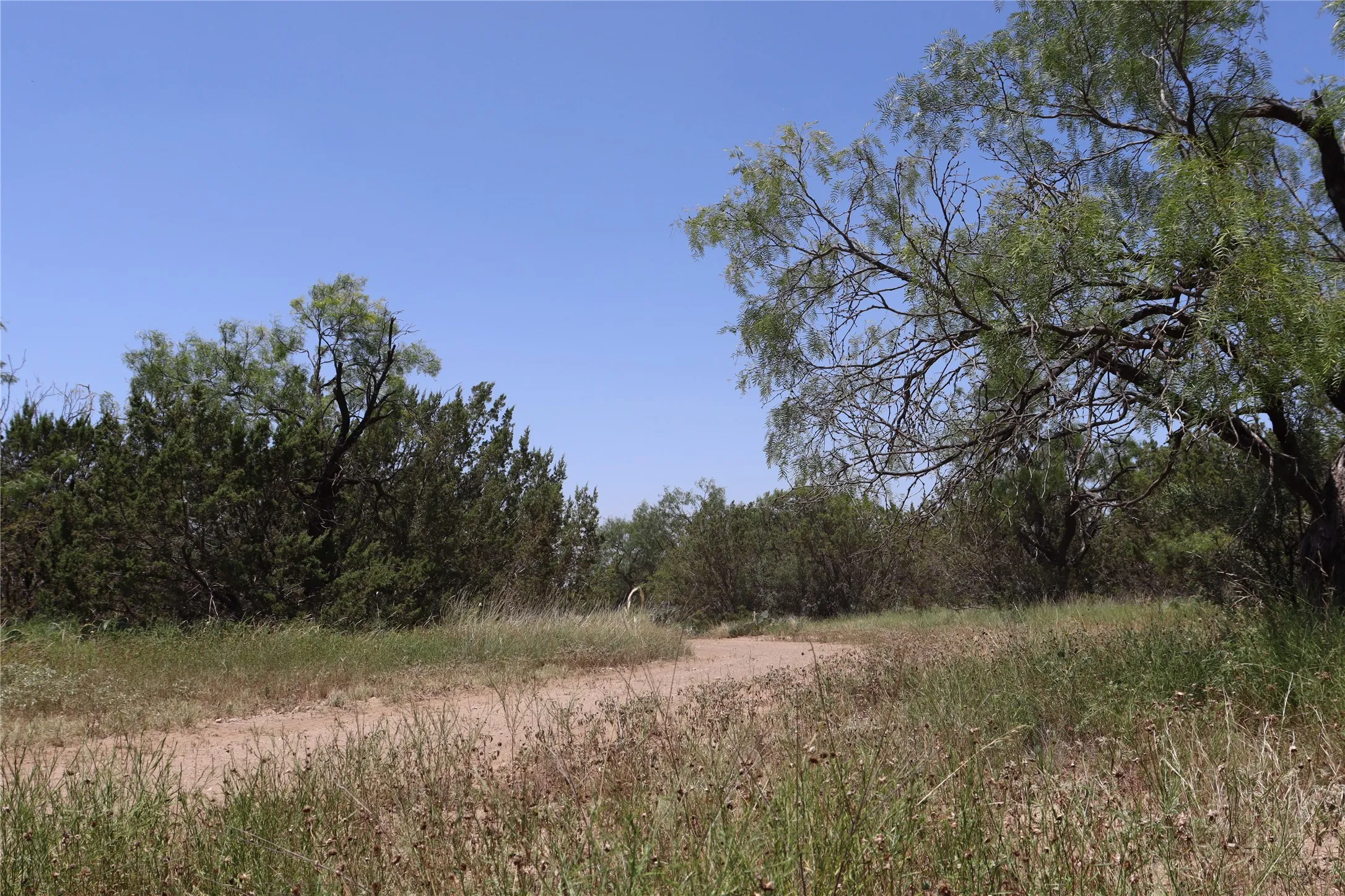 Unimproved Land For Sale in Concho County , 1234 RR11 RECREATIONAL ROAD 11, Millersview, Texas 76862, 0, 0, Garage spaces, 0 Sqft, built in 0, mls#21317813, Real Estate Agent in Millersview, Homes For Sale in Concho county, Homes For Sale in Millersview, Realtor in Millersview Texas, Real Estate Brokerage Independent Realty Texas, Luminita Cordes Realtor