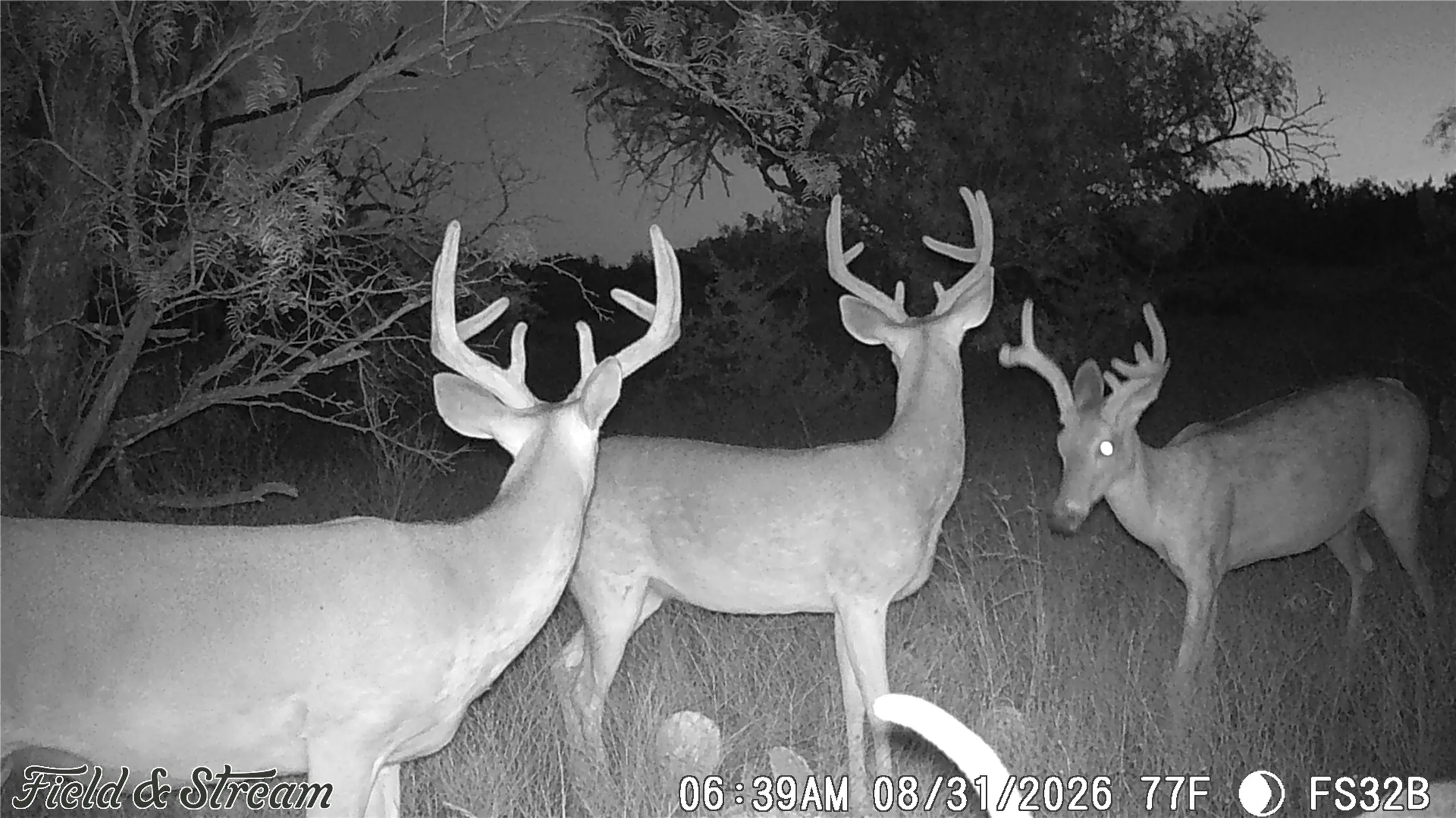 Unimproved Land For Sale in Concho County , 1234 RR11 RECREATIONAL ROAD 11, Millersview, Texas 76862, 0, 0, Garage spaces, 0 Sqft, built in 0, mls#21317813, Real Estate Agent in Millersview, Homes For Sale in Concho county, Homes For Sale in Millersview, Realtor in Millersview Texas, Real Estate Brokerage Independent Realty Texas, Luminita Cordes Realtor