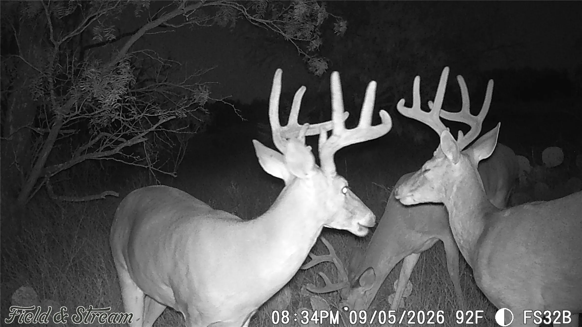 Unimproved Land For Sale in Concho County , 1234 RR11 RECREATIONAL ROAD 11, Millersview, Texas 76862, 0, 0, Garage spaces, 0 Sqft, built in 0, mls#21317813, Real Estate Agent in Millersview, Homes For Sale in Concho county, Homes For Sale in Millersview, Realtor in Millersview Texas, Real Estate Brokerage Independent Realty Texas, Luminita Cordes Realtor