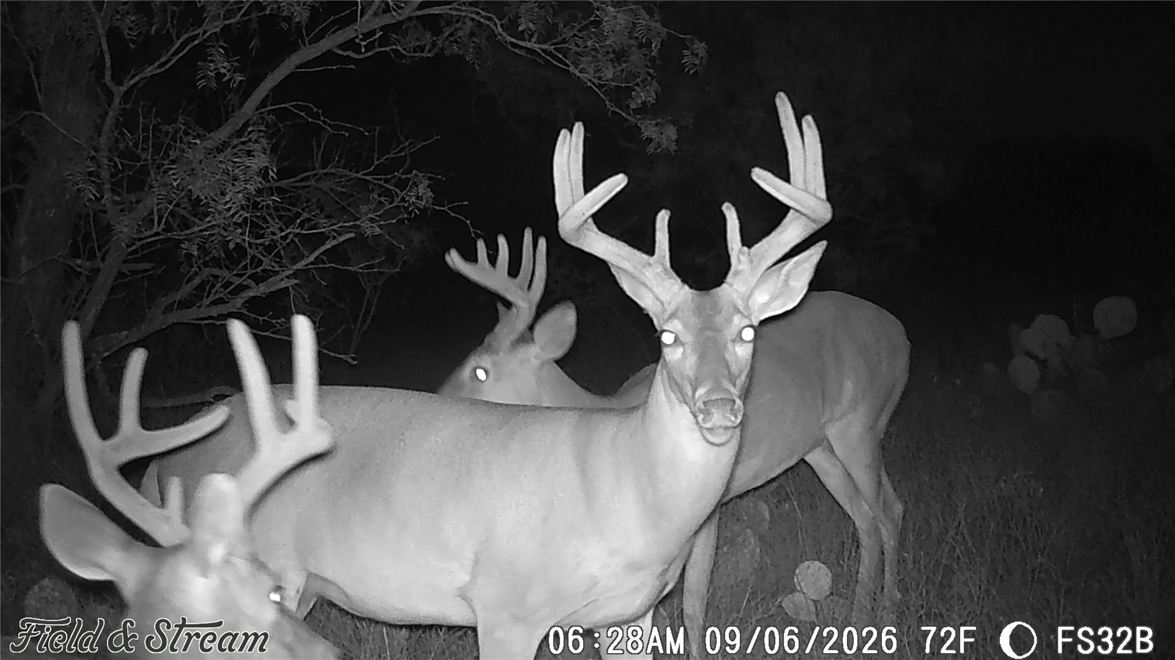 Unimproved Land For Sale in Concho County , 1234 RR11 RECREATIONAL ROAD 11, Millersview, Texas 76862, 0, 0, Garage spaces, 0 Sqft, built in 0, mls#21317813, Real Estate Agent in Millersview, Homes For Sale in Concho county, Homes For Sale in Millersview, Realtor in Millersview Texas, Real Estate Brokerage Independent Realty Texas, Luminita Cordes Realtor