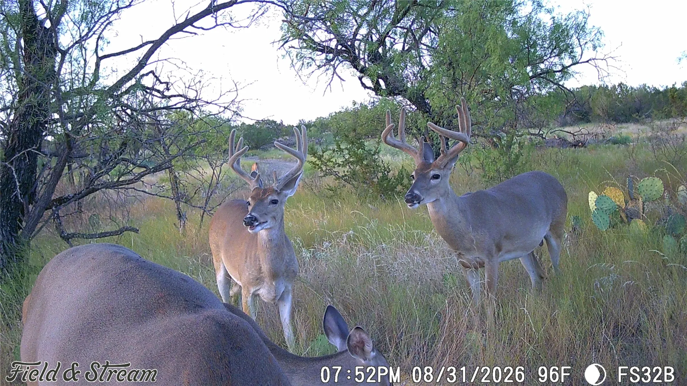Unimproved Land For Sale in Concho County , 1234 RR11 RECREATIONAL ROAD 11, Millersview, Texas 76862, 0, 0, Garage spaces, 0 Sqft, built in 0, mls#21317813, Real Estate Agent in Millersview, Homes For Sale in Concho county, Homes For Sale in Millersview, Realtor in Millersview Texas, Real Estate Brokerage Independent Realty Texas, Luminita Cordes Realtor