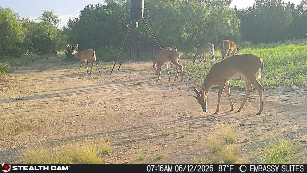 Unimproved Land For Sale in Concho County , 1234 RR11 RECREATIONAL ROAD 11, Millersview, Texas 76862, 0, 0, Garage spaces, 0 Sqft, built in 0, mls#21317813, Real Estate Agent in Millersview, Homes For Sale in Concho county, Homes For Sale in Millersview, Realtor in Millersview Texas, Real Estate Brokerage Independent Realty Texas, Luminita Cordes Realtor