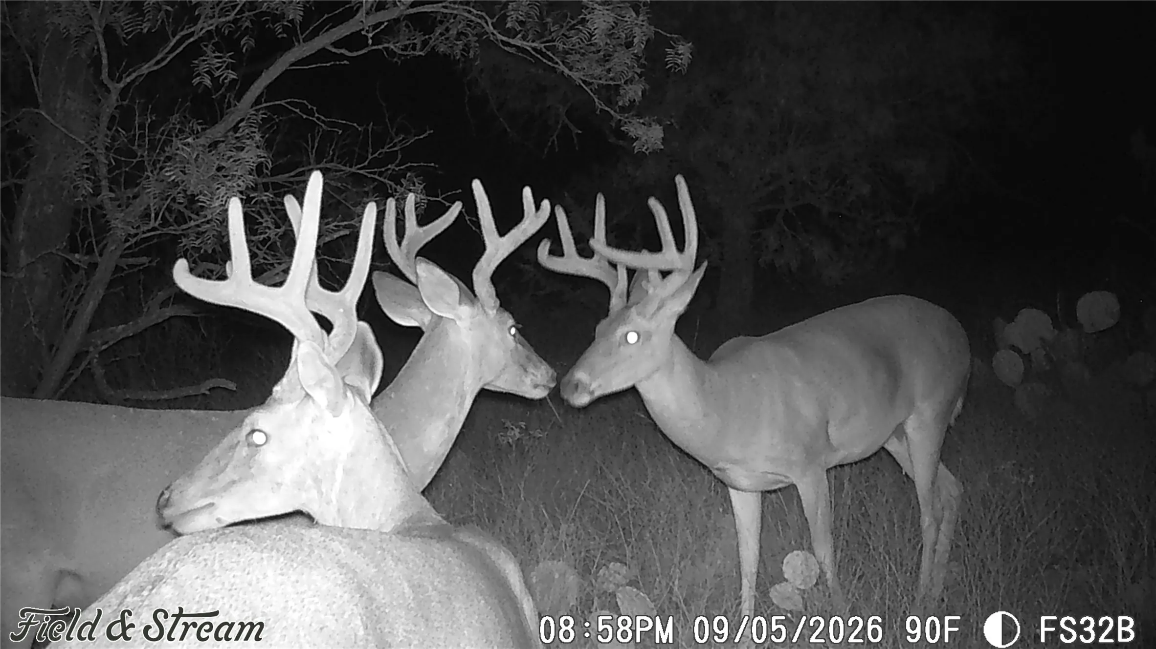 Unimproved Land For Sale in Concho County , 1234 RR11 RECREATIONAL ROAD 11, Millersview, Texas 76862, 0, 0, Garage spaces, 0 Sqft, built in 0, mls#21317813, Real Estate Agent in Millersview, Homes For Sale in Concho county, Homes For Sale in Millersview, Realtor in Millersview Texas, Real Estate Brokerage Independent Realty Texas, Luminita Cordes Realtor
