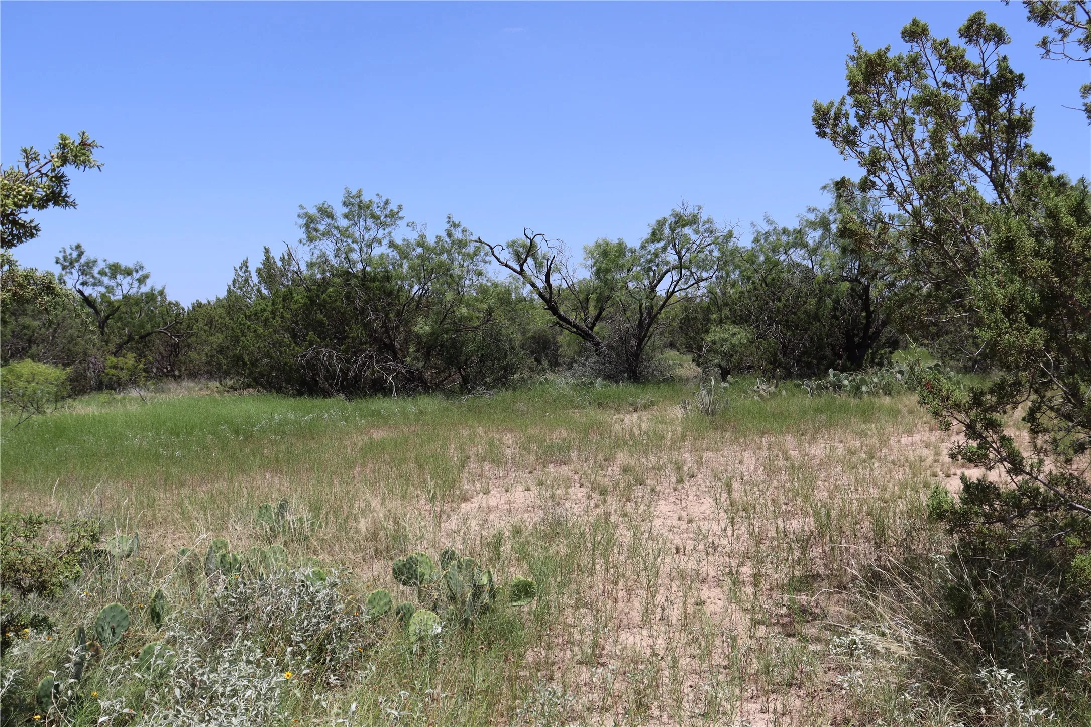 Unimproved Land For Sale in Concho County , 1234 RR11 RECREATIONAL ROAD 11, Millersview, Texas 76862, 0, 0, Garage spaces, 0 Sqft, built in 0, mls#21317813, Real Estate Agent in Millersview, Homes For Sale in Concho county, Homes For Sale in Millersview, Realtor in Millersview Texas, Real Estate Brokerage Independent Realty Texas, Luminita Cordes Realtor
