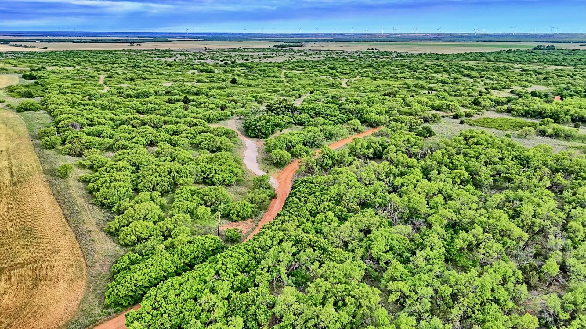 Ranch For Sale in Knox County , TBD CR 4371, Goree, Texas 76363, 0, 0, Garage spaces, 0 Sqft, built in 0, Price $995,000, mls#21317821, Real Estate Agent in Goree, Homes For Sale in Knox county, Homes For Sale in Goree, Realtor in Goree Texas, Real Estate Brokerage Independent Realty Texas, Luminita Cordes Realtor