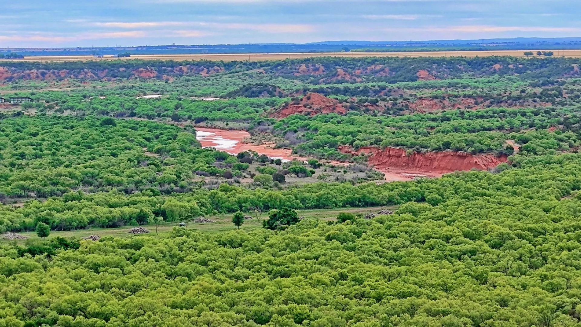 Ranch For Sale in Knox County , TBD CR 4371, Goree, Texas 76363, 0, 0, Garage spaces, 0 Sqft, built in 0, Price $995,000, mls#21317821, Real Estate Agent in Goree, Homes For Sale in Knox county, Homes For Sale in Goree, Realtor in Goree Texas, Real Estate Brokerage Independent Realty Texas, Luminita Cordes Realtor
