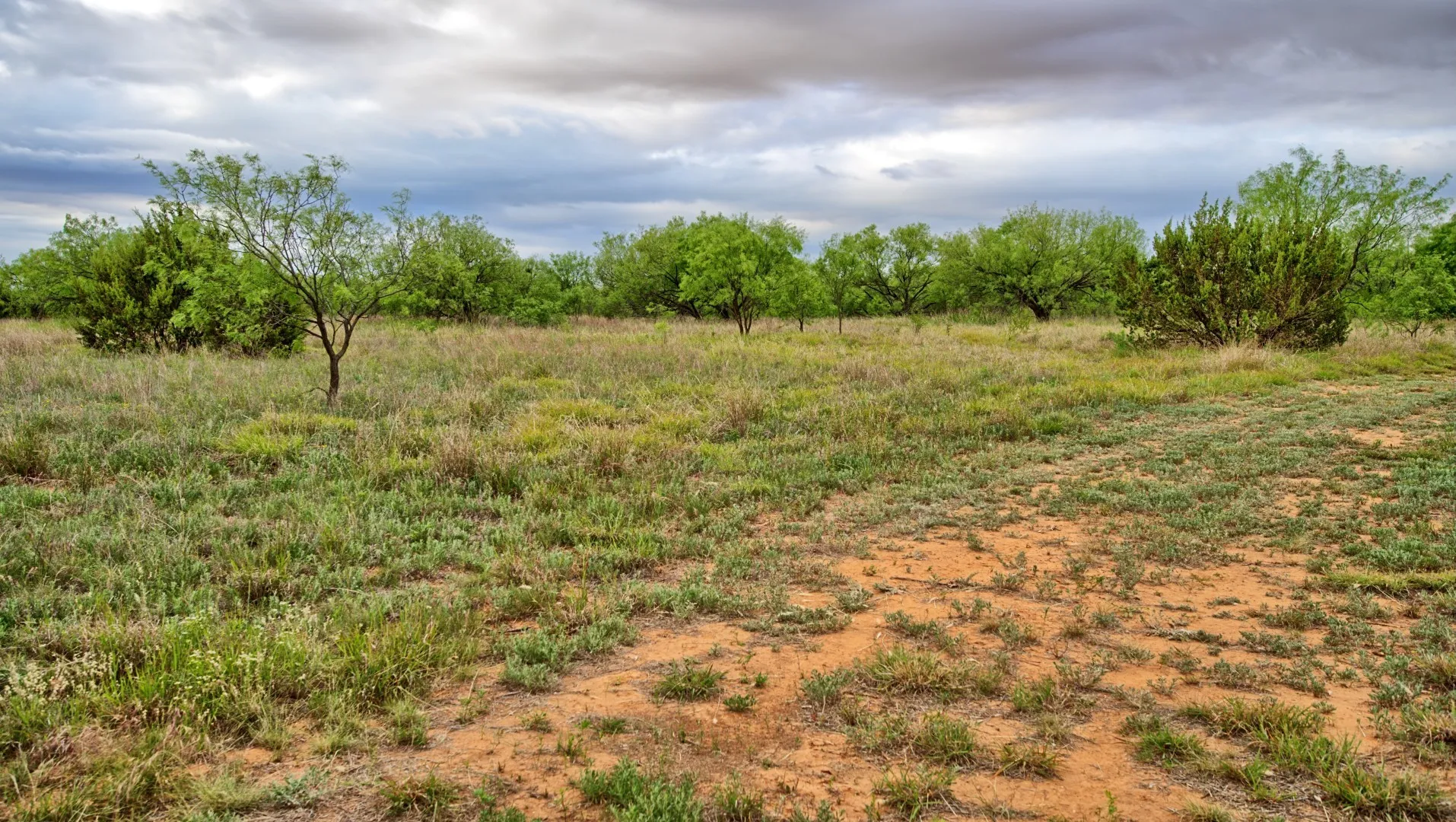 Ranch For Sale in Knox County , TBD CR 4371, Goree, Texas 76363, 0, 0, Garage spaces, 0 Sqft, built in 0, Price $995,000, mls#21317821, Real Estate Agent in Goree, Homes For Sale in Knox county, Homes For Sale in Goree, Realtor in Goree Texas, Real Estate Brokerage Independent Realty Texas, Luminita Cordes Realtor