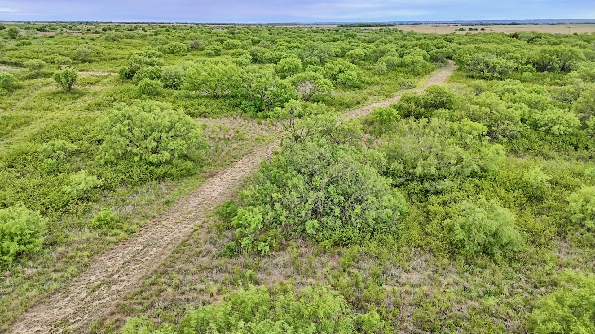 Ranch For Sale in Knox County , TBD CR 4371, Goree, Texas 76363, 0, 0, Garage spaces, 0 Sqft, built in 0, Price $995,000, mls#21317821, Real Estate Agent in Goree, Homes For Sale in Knox county, Homes For Sale in Goree, Realtor in Goree Texas, Real Estate Brokerage Independent Realty Texas, Luminita Cordes Realtor