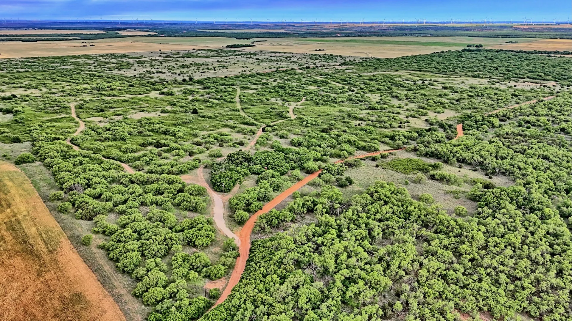 Ranch For Sale in Knox County , TBD CR 4371, Goree, Texas 76363, 0, 0, Garage spaces, 0 Sqft, built in 0, Price $995,000, mls#21317821, Real Estate Agent in Goree, Homes For Sale in Knox county, Homes For Sale in Goree, Realtor in Goree Texas, Real Estate Brokerage Independent Realty Texas, Luminita Cordes Realtor