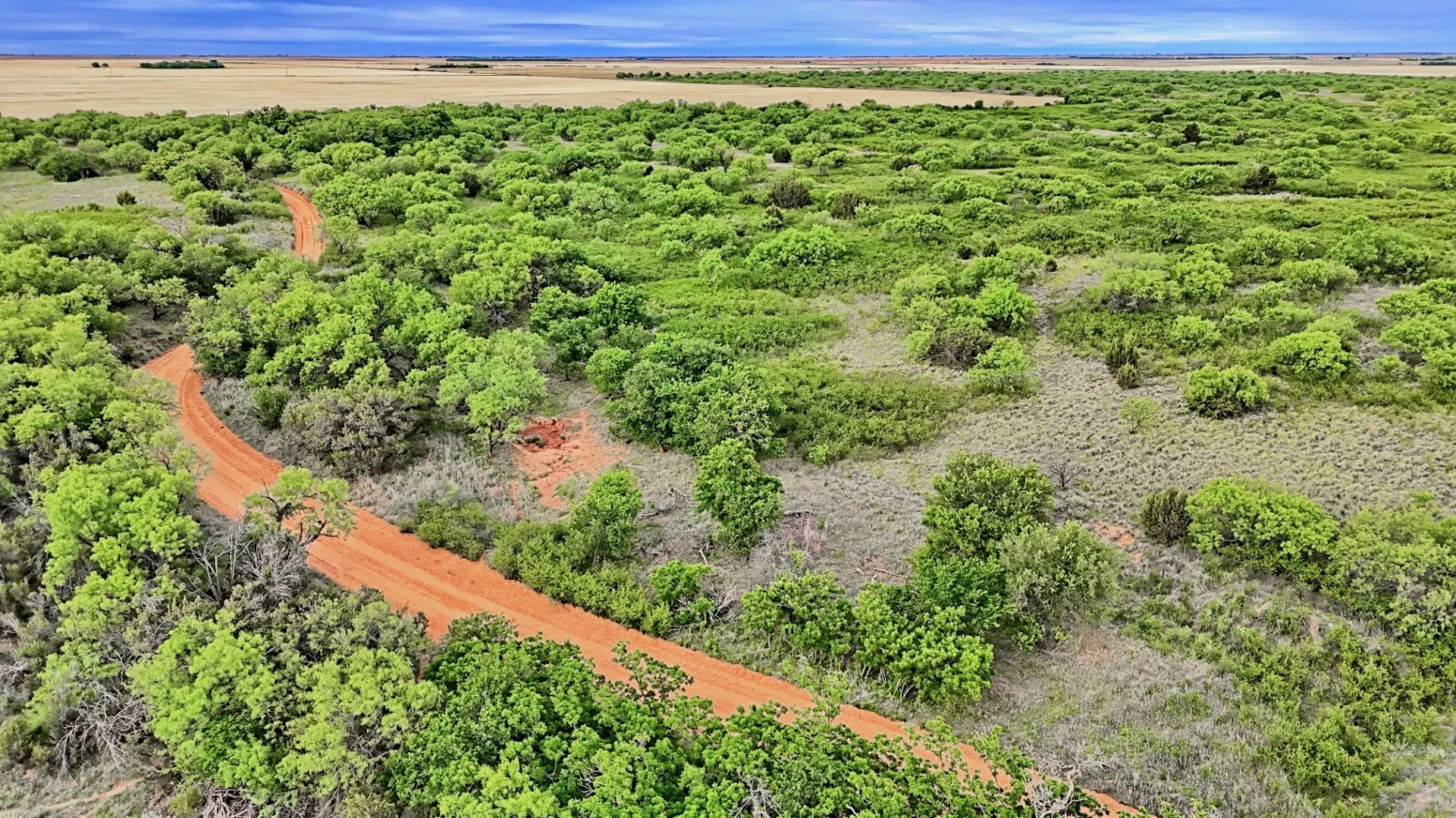 Ranch For Sale in Knox County , TBD CR 4371, Goree, Texas 76363, 0, 0, Garage spaces, 0 Sqft, built in 0, Price $995,000, mls#21317821, Real Estate Agent in Goree, Homes For Sale in Knox county, Homes For Sale in Goree, Realtor in Goree Texas, Real Estate Brokerage Independent Realty Texas, Luminita Cordes Realtor