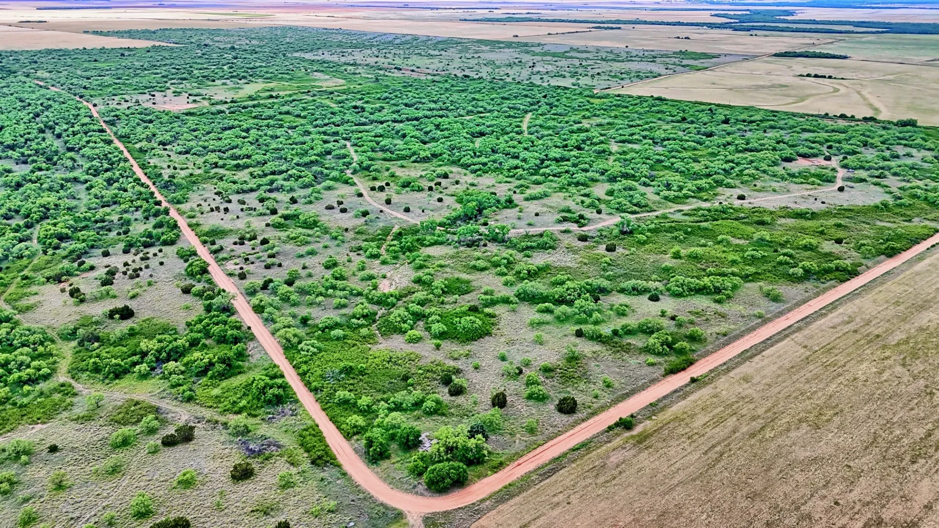 Ranch For Sale in Knox County , TBD CR 4371, Goree, Texas 76363, 0, 0, Garage spaces, 0 Sqft, built in 0, Price $995,000, mls#21317821, Real Estate Agent in Goree, Homes For Sale in Knox county, Homes For Sale in Goree, Realtor in Goree Texas, Real Estate Brokerage Independent Realty Texas, Luminita Cordes Realtor