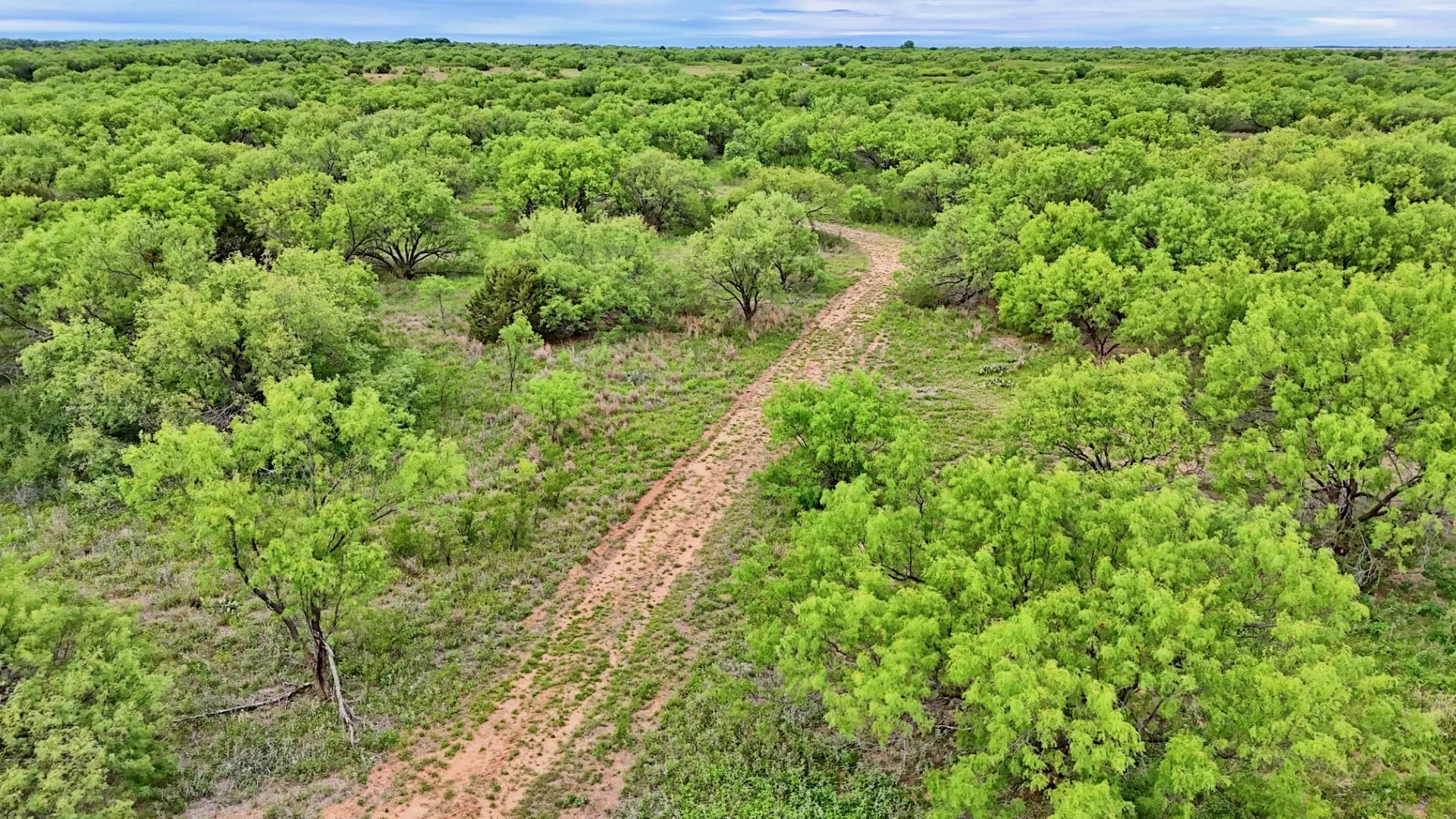Ranch For Sale in Knox County , TBD CR 4371, Goree, Texas 76363, 0, 0, Garage spaces, 0 Sqft, built in 0, Price $995,000, mls#21317821, Real Estate Agent in Goree, Homes For Sale in Knox county, Homes For Sale in Goree, Realtor in Goree Texas, Real Estate Brokerage Independent Realty Texas, Luminita Cordes Realtor