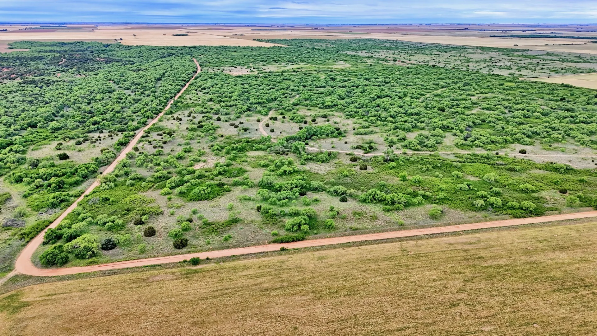 Ranch For Sale in Knox County , TBD CR 4371, Goree, Texas 76363, 0, 0, Garage spaces, 0 Sqft, built in 0, Price $995,000, mls#21317821, Real Estate Agent in Goree, Homes For Sale in Knox county, Homes For Sale in Goree, Realtor in Goree Texas, Real Estate Brokerage Independent Realty Texas, Luminita Cordes Realtor