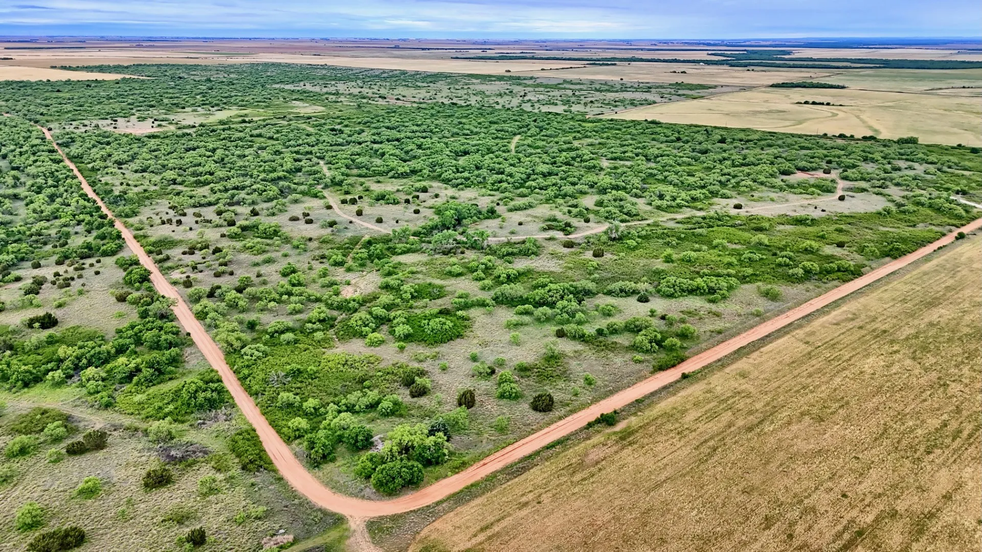 Ranch For Sale in Knox County , TBD CR 4371, Goree, Texas 76363, 0, 0, Garage spaces, 0 Sqft, built in 0, Price $995,000, mls#21317821, Real Estate Agent in Goree, Homes For Sale in Knox county, Homes For Sale in Goree, Realtor in Goree Texas, Real Estate Brokerage Independent Realty Texas, Luminita Cordes Realtor