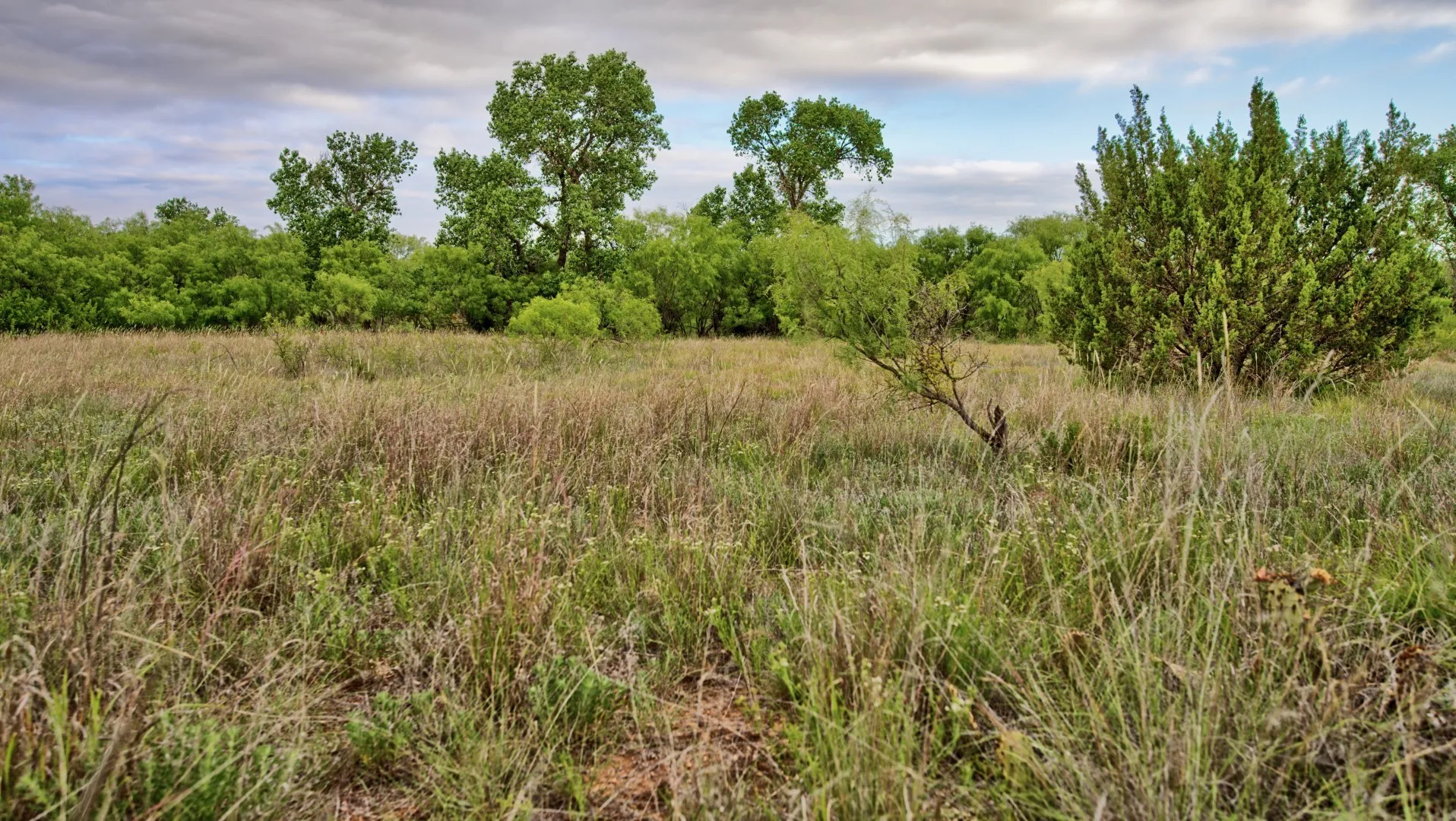 Ranch For Sale in Knox County , TBD CR 4371, Goree, Texas 76363, 0, 0, Garage spaces, 0 Sqft, built in 0, Price $995,000, mls#21317821, Real Estate Agent in Goree, Homes For Sale in Knox county, Homes For Sale in Goree, Realtor in Goree Texas, Real Estate Brokerage Independent Realty Texas, Luminita Cordes Realtor
