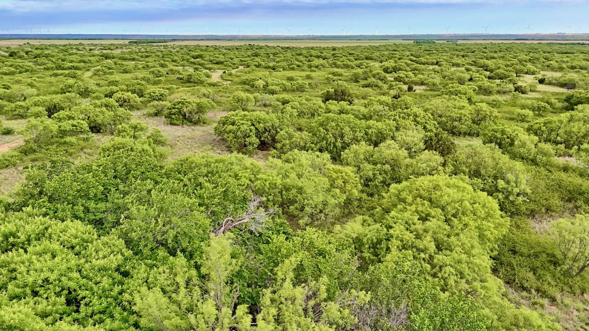 Ranch For Sale in Knox County , TBD CR 4371, Goree, Texas 76363, 0, 0, Garage spaces, 0 Sqft, built in 0, Price $995,000, mls#21317821, Real Estate Agent in Goree, Homes For Sale in Knox county, Homes For Sale in Goree, Realtor in Goree Texas, Real Estate Brokerage Independent Realty Texas, Luminita Cordes Realtor