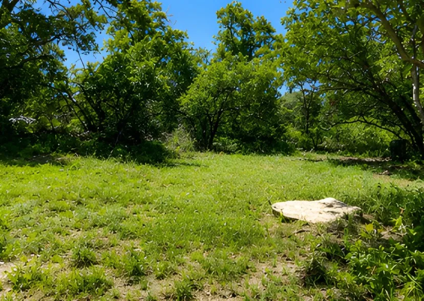Unimproved Land For Sale in Brown County , 7007 Killarney Drive, Brownwood, Texas 76801, 0, 0, Garage spaces, 0 Sqft, built in 0, mls#21316946, Real Estate Agent in Brownwood, Homes For Sale in Brown county, Homes For Sale in Brownwood, Realtor in Brownwood Texas, Real Estate Brokerage Independent Realty Texas, Luminita Cordes Realtor