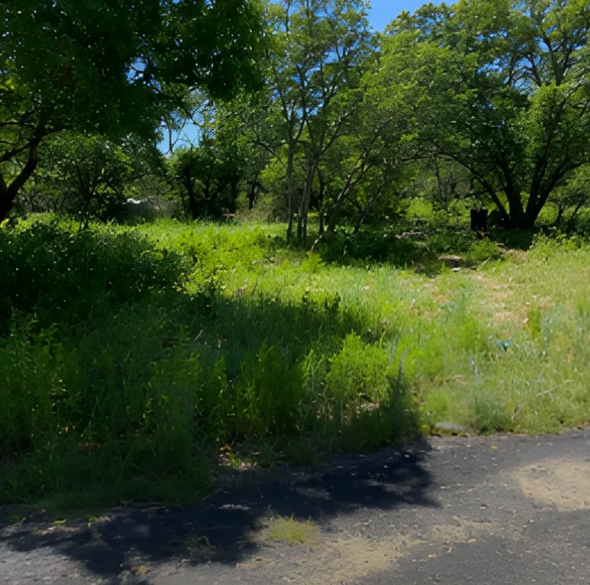 Expansive natural landscape featuring mature trees and lush green vegetation