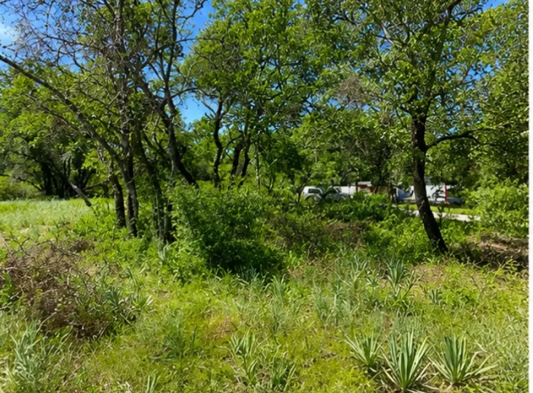 Unimproved Land For Sale in Brown County , 7007 Killarney Drive, Brownwood, Texas 76801, 0, 0, Garage spaces, 0 Sqft, built in 0, mls#21316946, Real Estate Agent in Brownwood, Homes For Sale in Brown county, Homes For Sale in Brownwood, Realtor in Brownwood Texas, Real Estate Brokerage Independent Realty Texas, Luminita Cordes Realtor