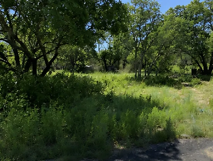 Natural landscape featuring mature trees and abundant green foliage