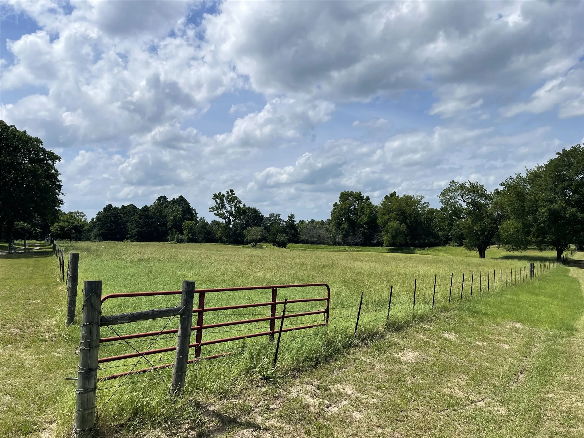 Mobile Home For Sale in Freestone County , 1666 US Highway 84, Oakwood, Texas 75855, 4 Bedroom, 2 Bathroom, Garage spaces, 2,560 Sqft, built in 2009, mls#21313249, Real Estate Agent in Oakwood, Homes For Sale in Freestone county, Homes For Sale in Oakwood, Realtor in Oakwood Texas, Real Estate Brokerage Independent Realty Texas, Luminita Cordes Realtor