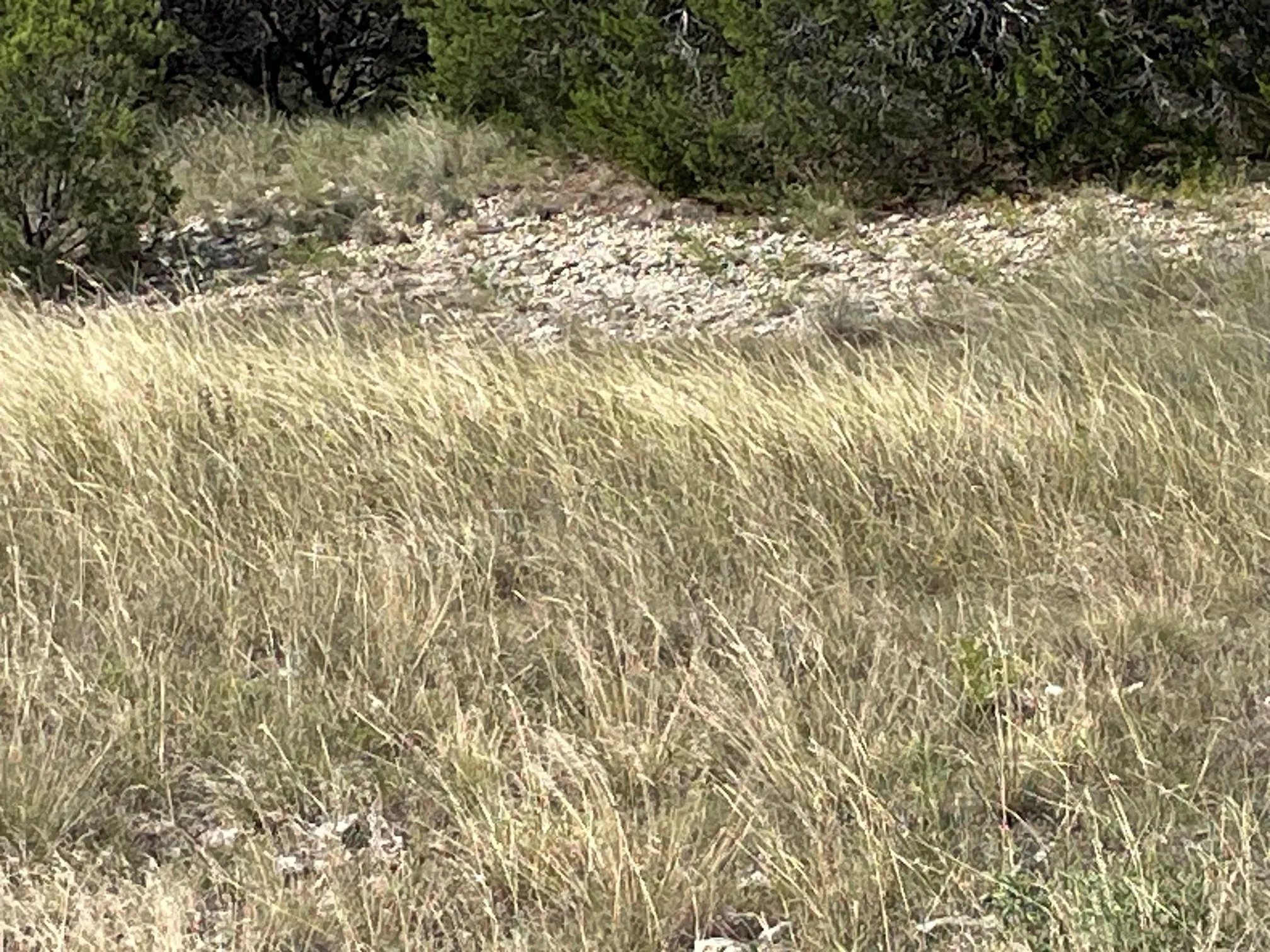 Unimproved Land For Sale in Erath County , TBD Penninsula Court, Bluff Dale, Texas 76433, 0, 0, Garage spaces, 0 Sqft, built in 0, Price $75,500, mls#21317889, Real Estate Agent in Bluff Dale, Homes For Sale in Erath county, Homes For Sale in Bluff Dale, Realtor in Bluff Dale Texas, Real Estate Brokerage Independent Realty Texas, Luminita Cordes Realtor