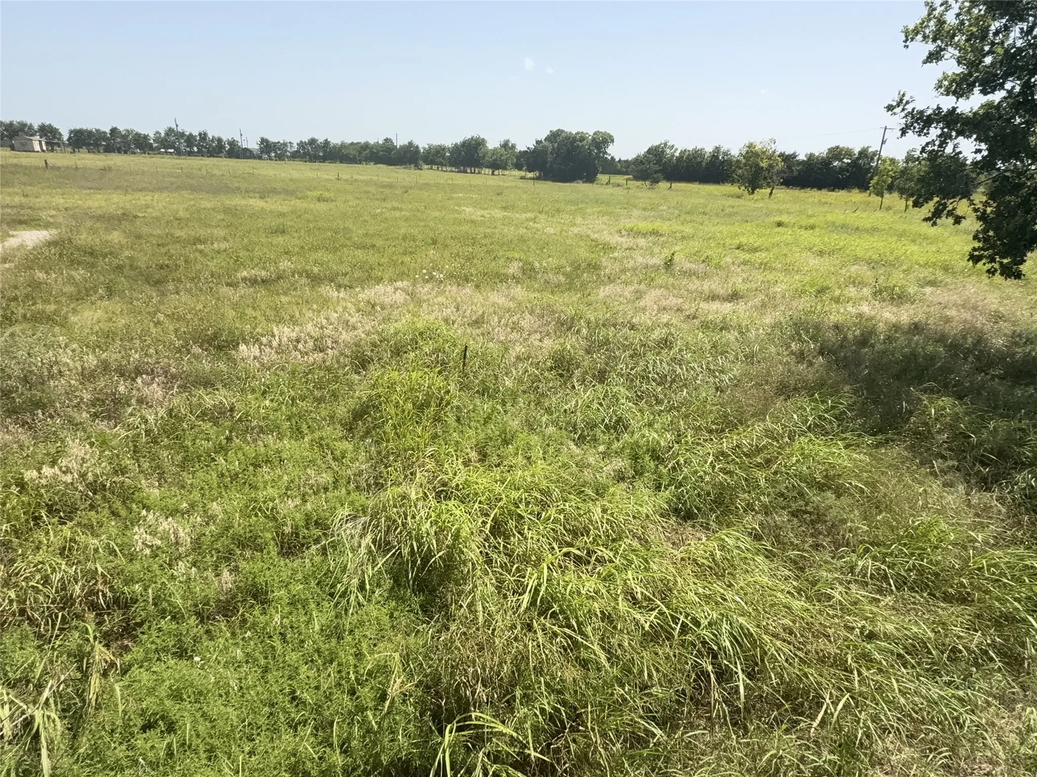 Unimproved Land For Sale in Hunt County , 895 County Road 1006, Celeste, Texas 75423, 0, 0, Garage spaces, 0 Sqft, built in 0, mls#21317931, Real Estate Agent in Celeste, Homes For Sale in Hunt county, Homes For Sale in Celeste, Realtor in Celeste Texas, Real Estate Brokerage Independent Realty Texas, Luminita Cordes Realtor