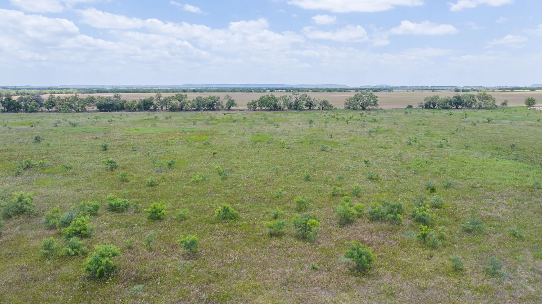 Ranch For Sale in Taylor County , 2276 CR 142, Lawn, Texas 79530, 0, 0, Garage spaces, 0 Sqft, built in 0, mls#21316625, Real Estate Agent in Lawn, Homes For Sale in Taylor county, Homes For Sale in Lawn, Realtor in Lawn Texas, Real Estate Brokerage Independent Realty Texas, Luminita Cordes Realtor