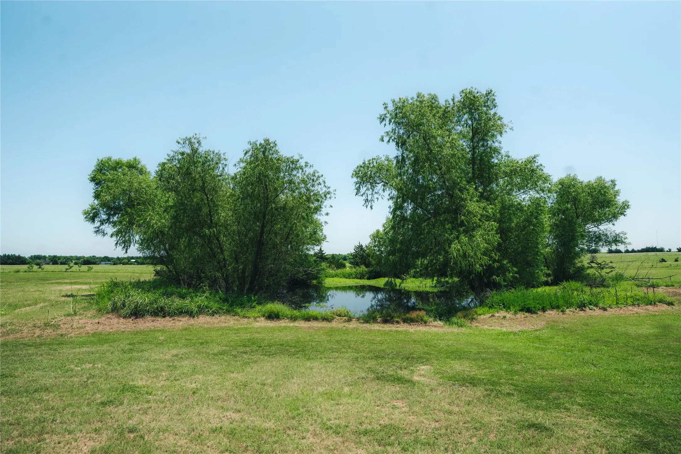Pond