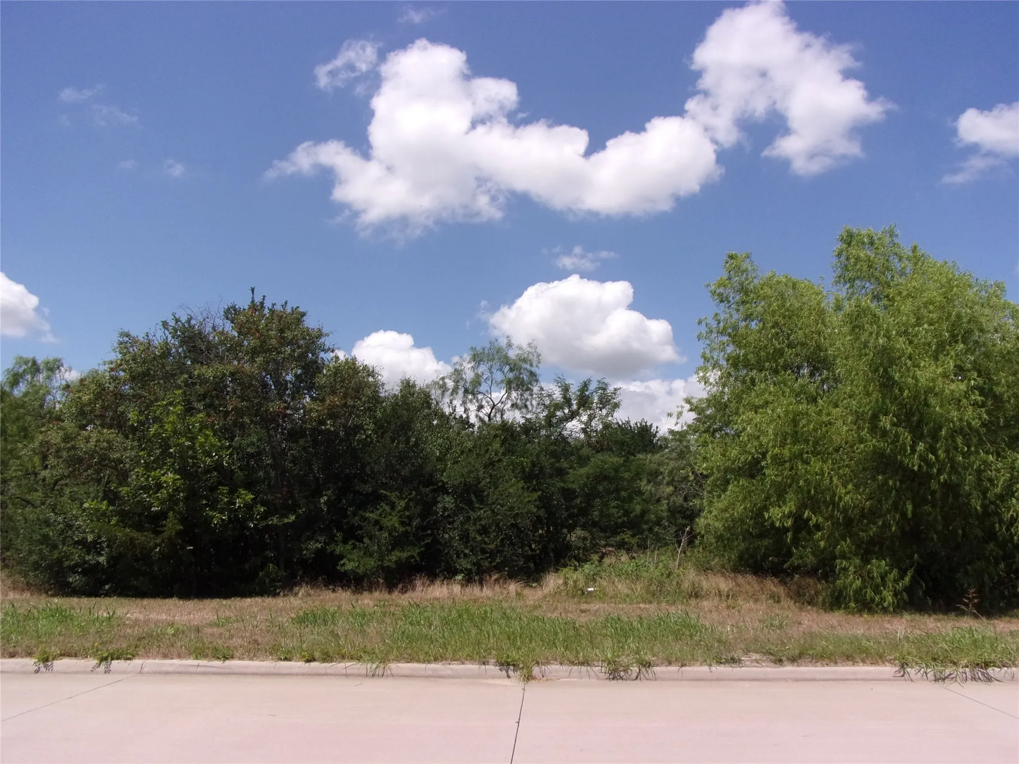 Middle back. One of only 2 lots that could have a back entrance