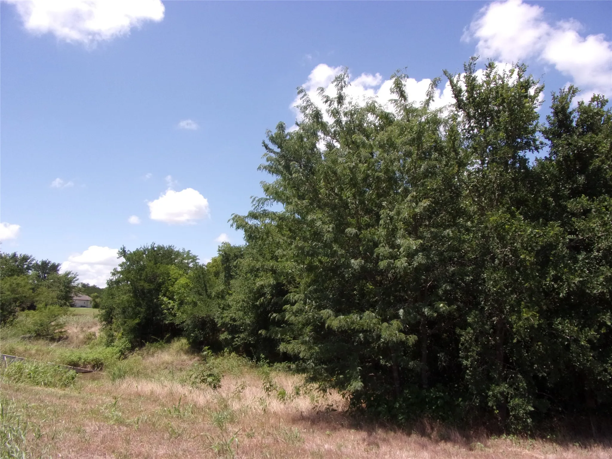 Back left hand corner looking back towards the interior of the lot. You can barely see the culvert on the left.