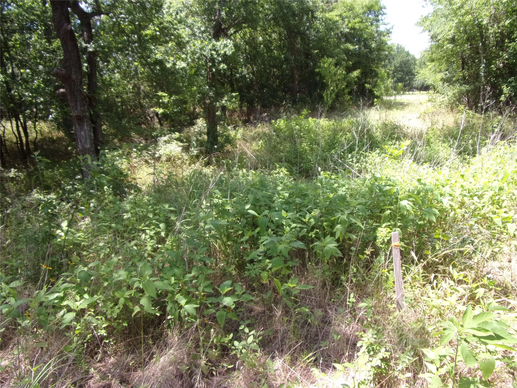 Headed back to street on left property line