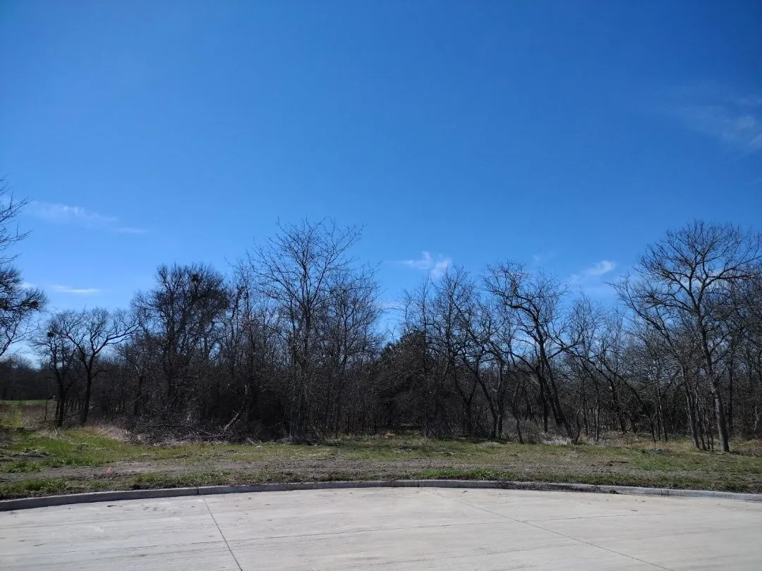 Front left looking down the property line
