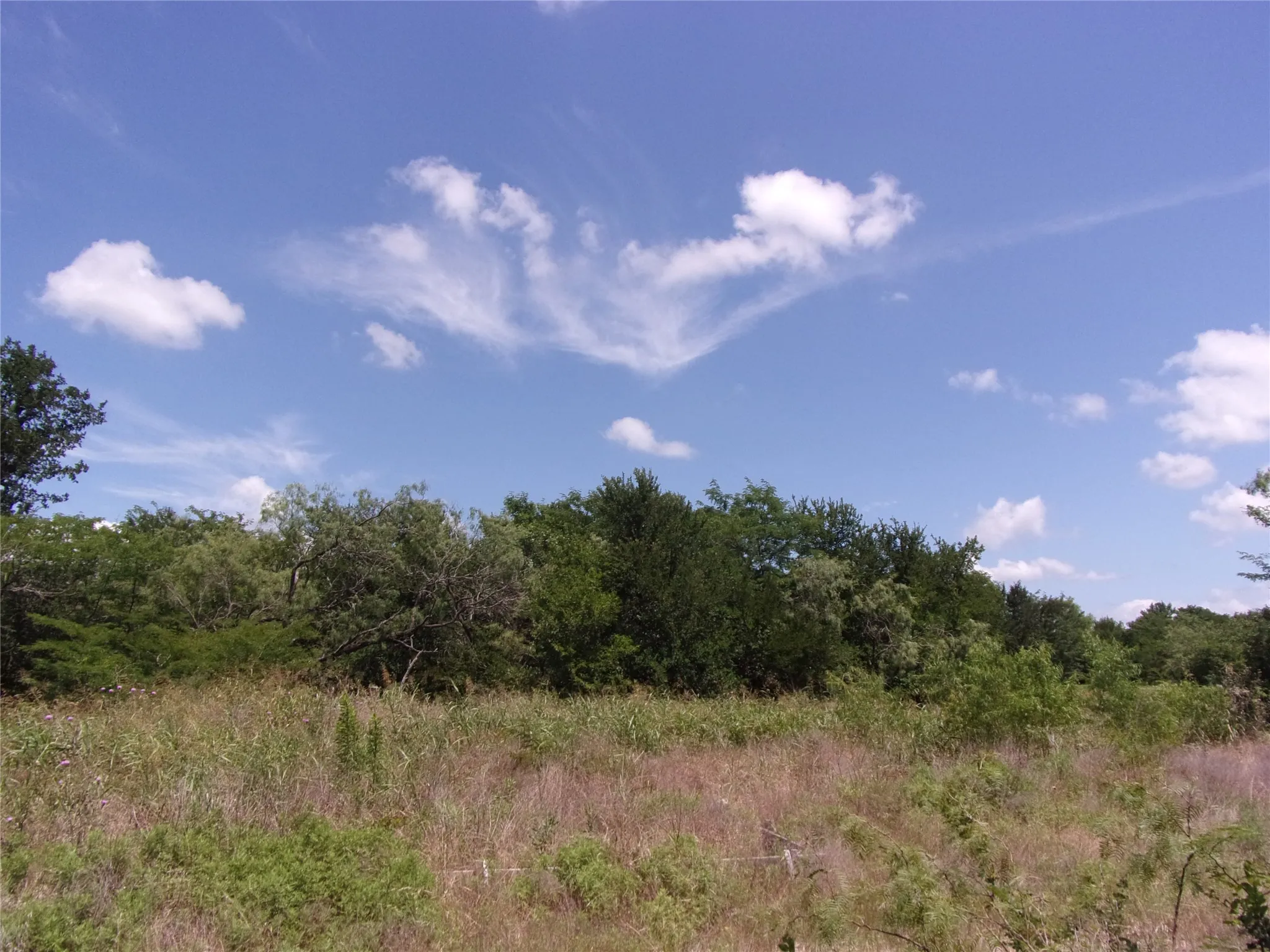 Middle of right property line looking inward. The house would go here