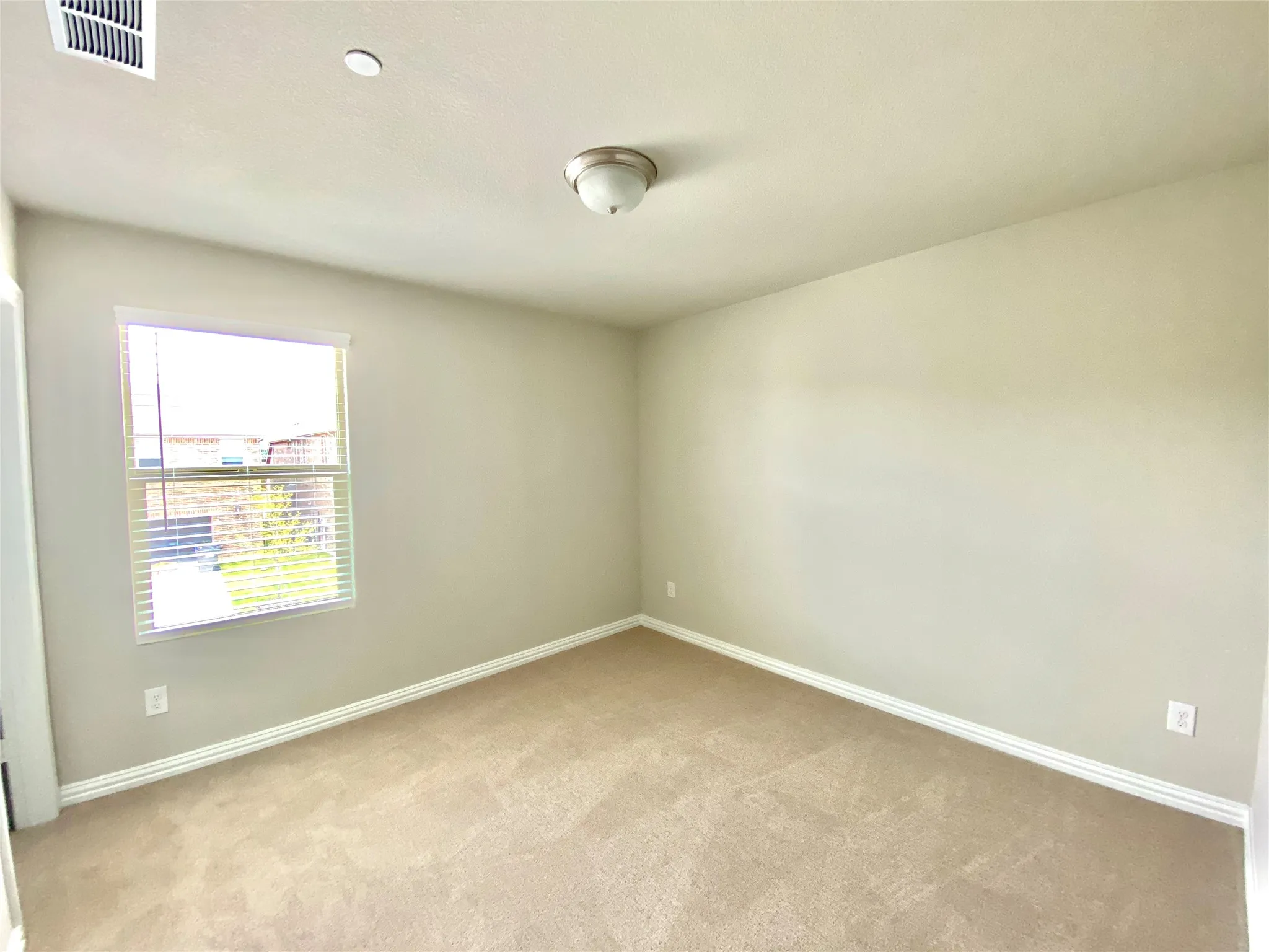 Neutral tone walls with white trim
