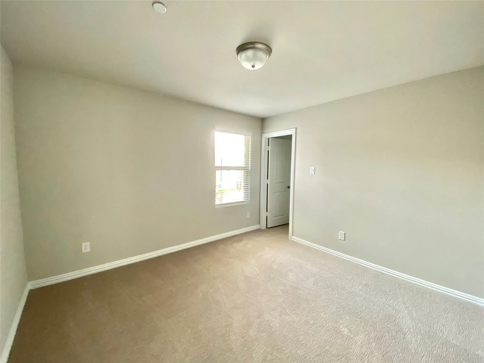 Neutral-toned carpet flooring and light gray wall paint
