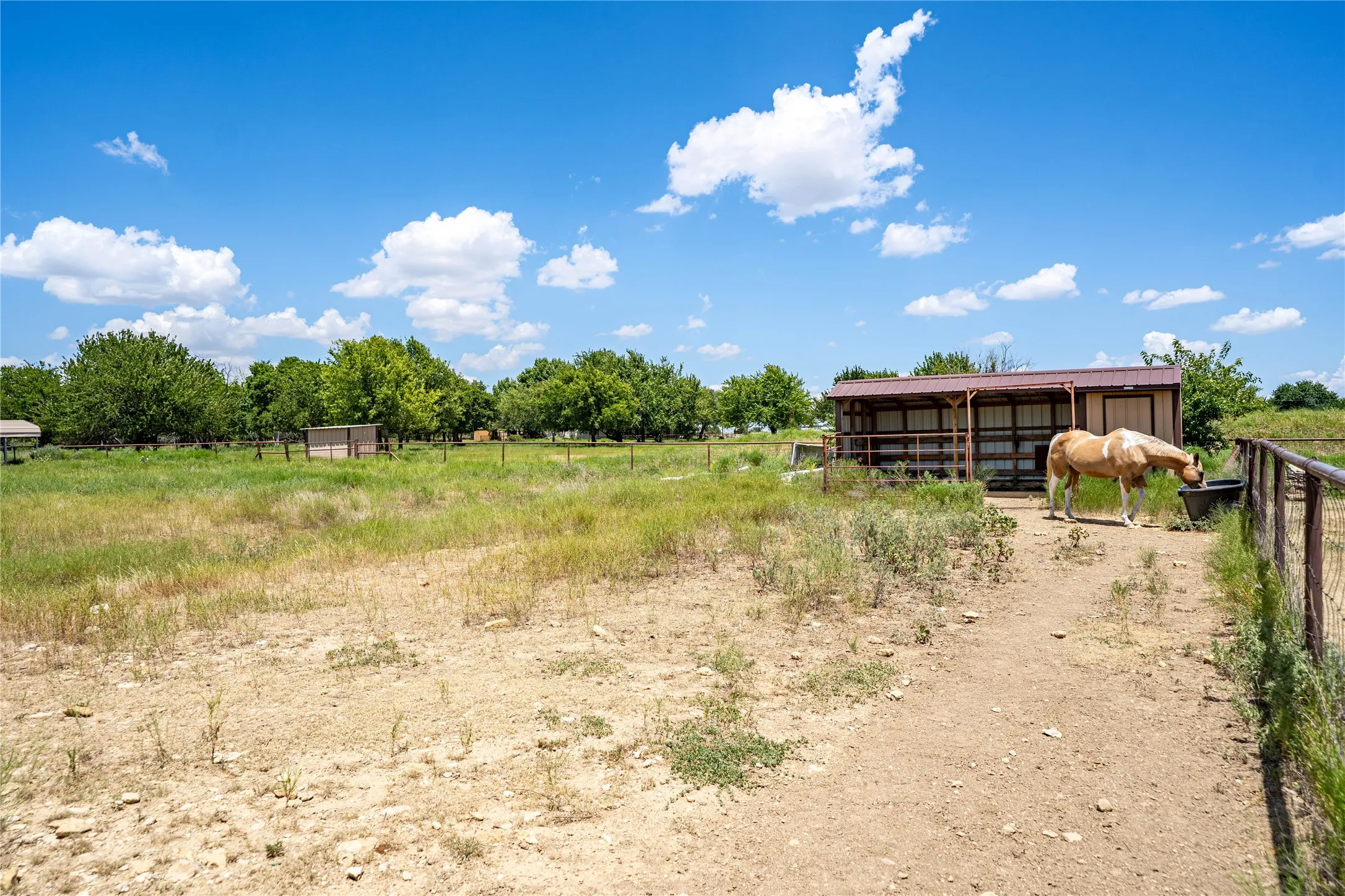 Farm For Sale in Johnson County , 4600 County Road 906, Godley, Texas 76044, 3 Bedroom, 3 Bathroom, 3 Garage spaces, 2,130 Sqft, built in 2016, mls#21317599, Real Estate Agent in Godley, Homes For Sale in Johnson county, Homes For Sale in Godley, Realtor in Godley Texas, Real Estate Brokerage Independent Realty Texas, Luminita Cordes Realtor