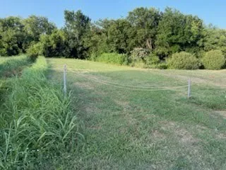 Expansive grass lawn with a perimeter of mature trees