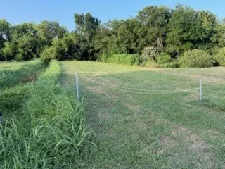 Expansive grassy area with a partial perimeter line and mature trees bordering the property