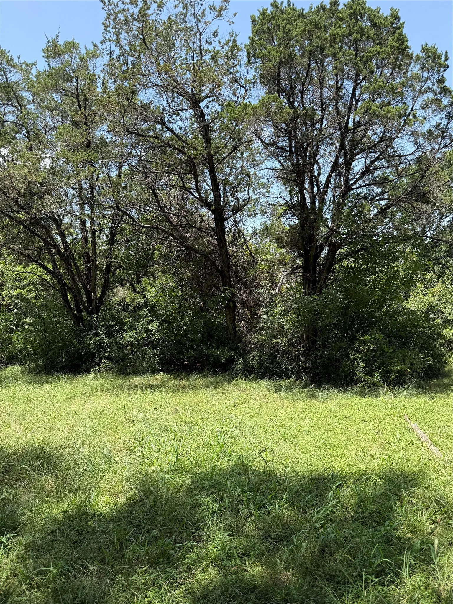 Single Family Residence For Sale in Johnson County , 9217 Indian Trail, Rio Vista, Texas 76093, 3 Bedroom, 3 Bathroom, 2 Garage spaces, 1,450 Sqft, built in 2001, Price $345,000, mls#21316813, Real Estate Agent in Rio Vista, Homes For Sale in Johnson county, Homes For Sale in Rio Vista, Realtor in Rio Vista Texas, Real Estate Brokerage Independent Realty Texas, Luminita Cordes Realtor