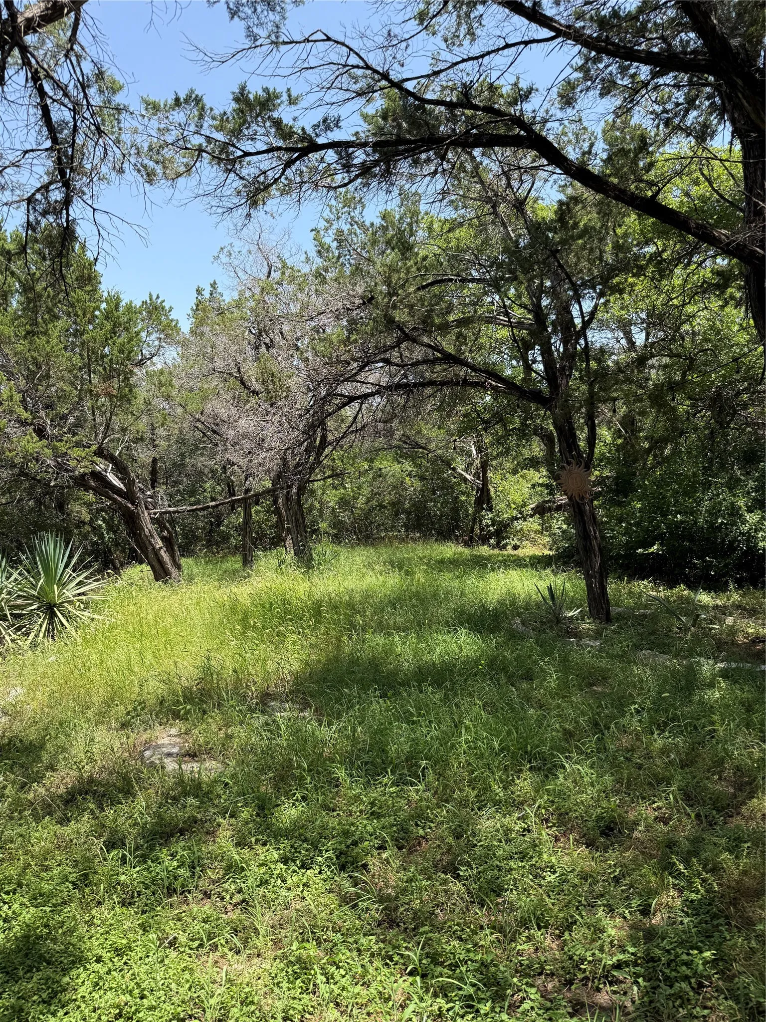 Single Family Residence For Sale in Johnson County , 9217 Indian Trail, Rio Vista, Texas 76093, 3 Bedroom, 3 Bathroom, 2 Garage spaces, 1,450 Sqft, built in 2001, Price $345,000, mls#21316813, Real Estate Agent in Rio Vista, Homes For Sale in Johnson county, Homes For Sale in Rio Vista, Realtor in Rio Vista Texas, Real Estate Brokerage Independent Realty Texas, Luminita Cordes Realtor