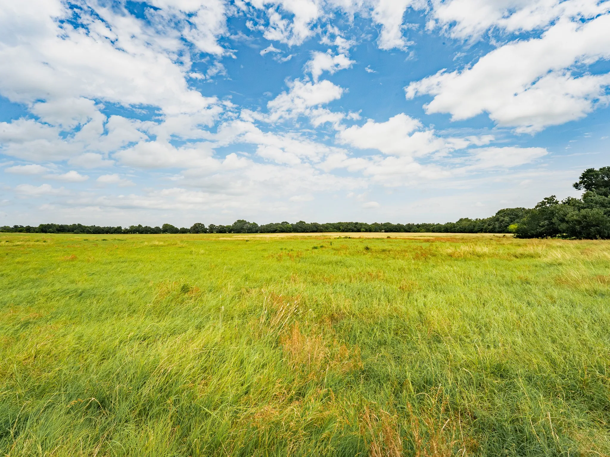 Farm For Sale in Wise County , 207 Cr-1750, Chico, Texas 76431, 3 Bedroom, 2 Bathroom, 2 Garage spaces, 2,224 Sqft, built in 1959, mls#21317101, Real Estate Agent in Chico, Homes For Sale in Wise county, Homes For Sale in Chico, Realtor in Chico Texas, Real Estate Brokerage Independent Realty Texas, Luminita Cordes Realtor