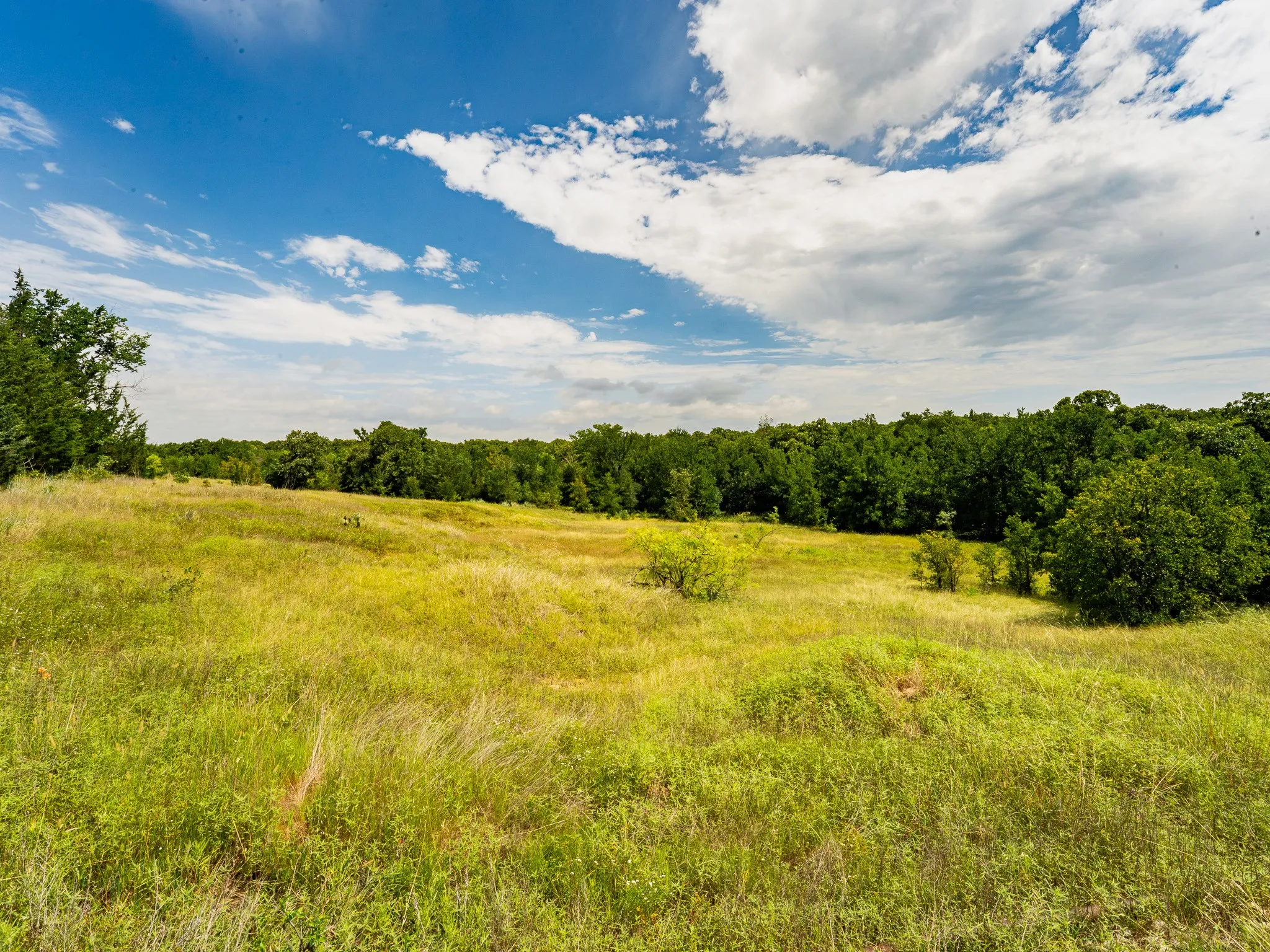 Farm For Sale in Wise County , 207 Cr-1750, Chico, Texas 76431, 3 Bedroom, 2 Bathroom, 2 Garage spaces, 2,224 Sqft, built in 1959, mls#21317101, Real Estate Agent in Chico, Homes For Sale in Wise county, Homes For Sale in Chico, Realtor in Chico Texas, Real Estate Brokerage Independent Realty Texas, Luminita Cordes Realtor
