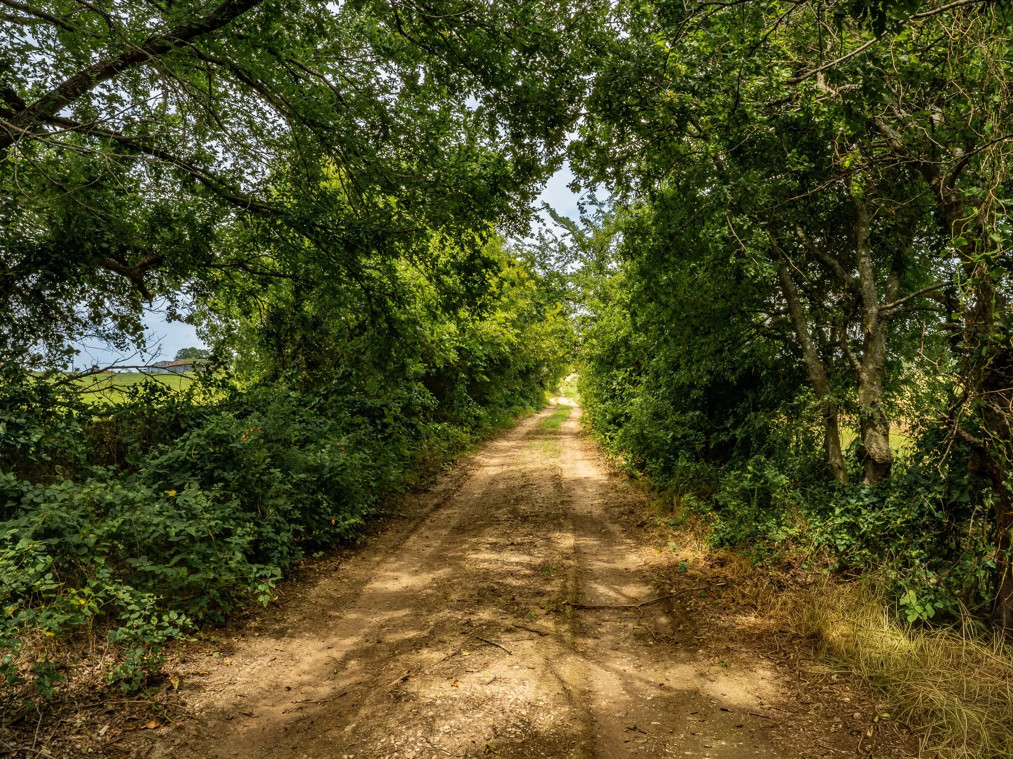 Farm For Sale in Wise County , 207 Cr-1750, Chico, Texas 76431, 3 Bedroom, 2 Bathroom, 2 Garage spaces, 2,224 Sqft, built in 1959, mls#21317101, Real Estate Agent in Chico, Homes For Sale in Wise county, Homes For Sale in Chico, Realtor in Chico Texas, Real Estate Brokerage Independent Realty Texas, Luminita Cordes Realtor