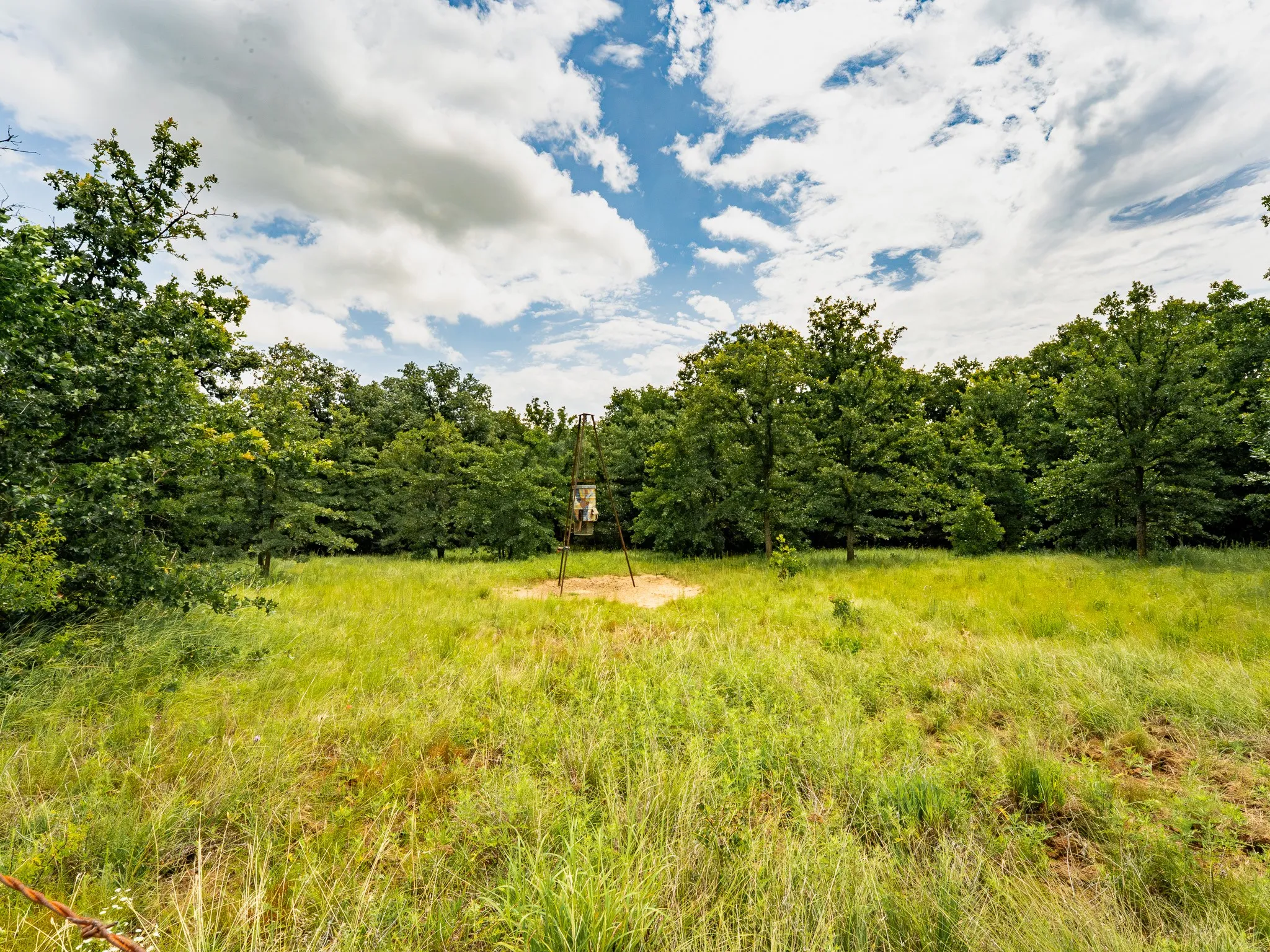 Farm For Sale in Wise County , 207 Cr-1750, Chico, Texas 76431, 3 Bedroom, 2 Bathroom, 2 Garage spaces, 2,224 Sqft, built in 1959, mls#21317101, Real Estate Agent in Chico, Homes For Sale in Wise county, Homes For Sale in Chico, Realtor in Chico Texas, Real Estate Brokerage Independent Realty Texas, Luminita Cordes Realtor