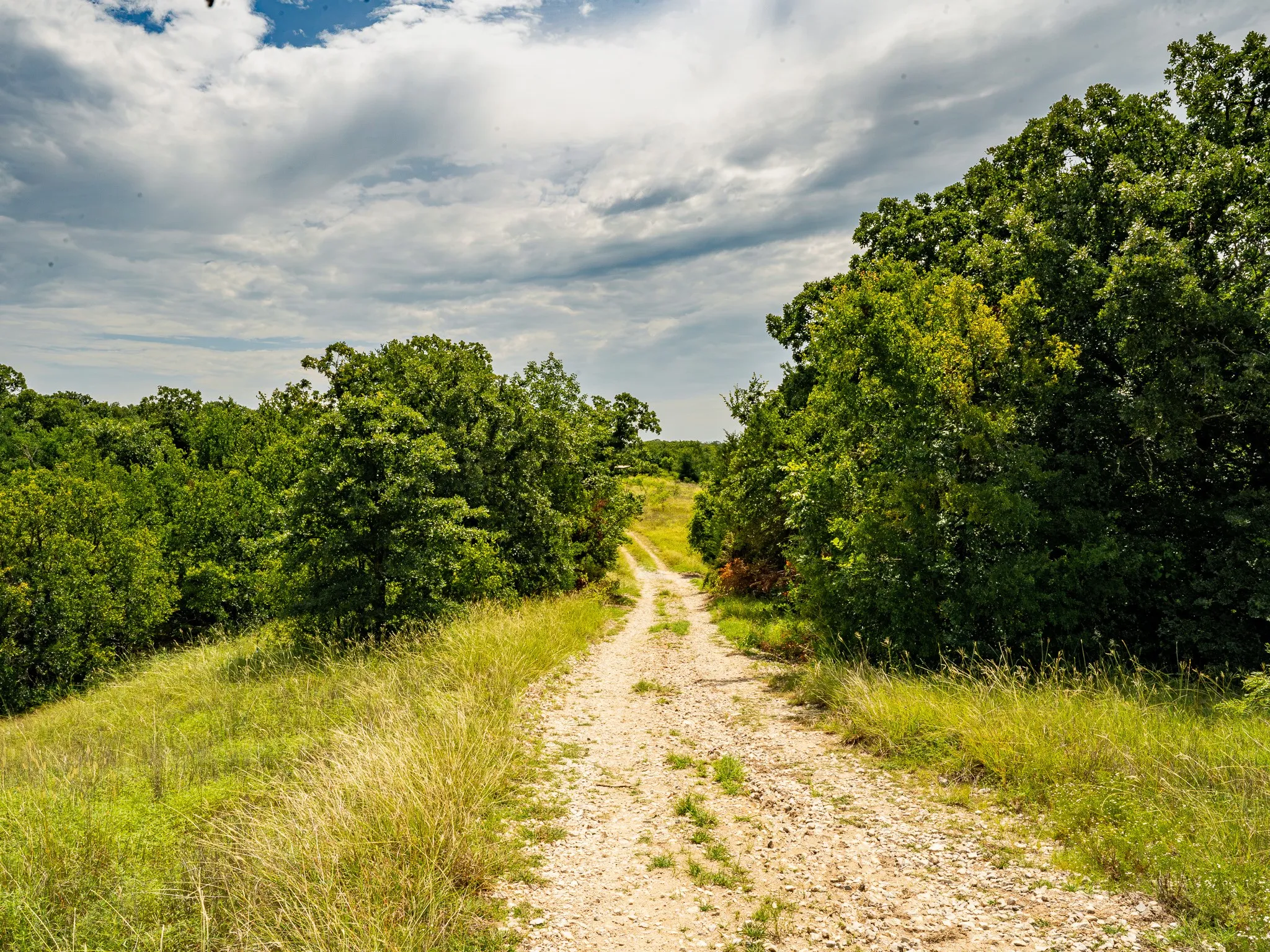 Farm For Sale in Wise County , 207 Cr-1750, Chico, Texas 76431, 3 Bedroom, 2 Bathroom, 2 Garage spaces, 2,224 Sqft, built in 1959, mls#21317101, Real Estate Agent in Chico, Homes For Sale in Wise county, Homes For Sale in Chico, Realtor in Chico Texas, Real Estate Brokerage Independent Realty Texas, Luminita Cordes Realtor