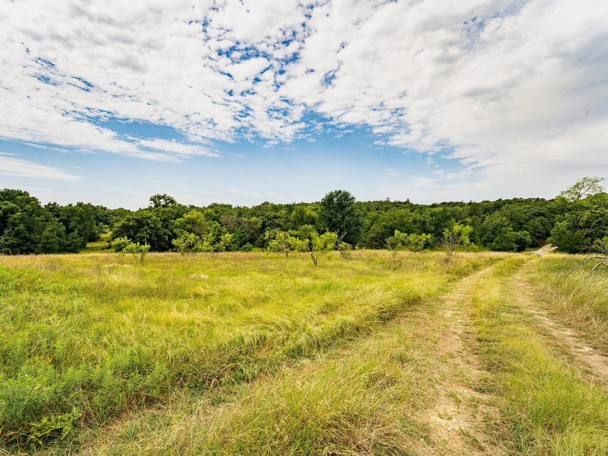 Farm For Sale in Wise County , 207 Cr-1750, Chico, Texas 76431, 3 Bedroom, 2 Bathroom, 2 Garage spaces, 2,224 Sqft, built in 1959, mls#21317101, Real Estate Agent in Chico, Homes For Sale in Wise county, Homes For Sale in Chico, Realtor in Chico Texas, Real Estate Brokerage Independent Realty Texas, Luminita Cordes Realtor