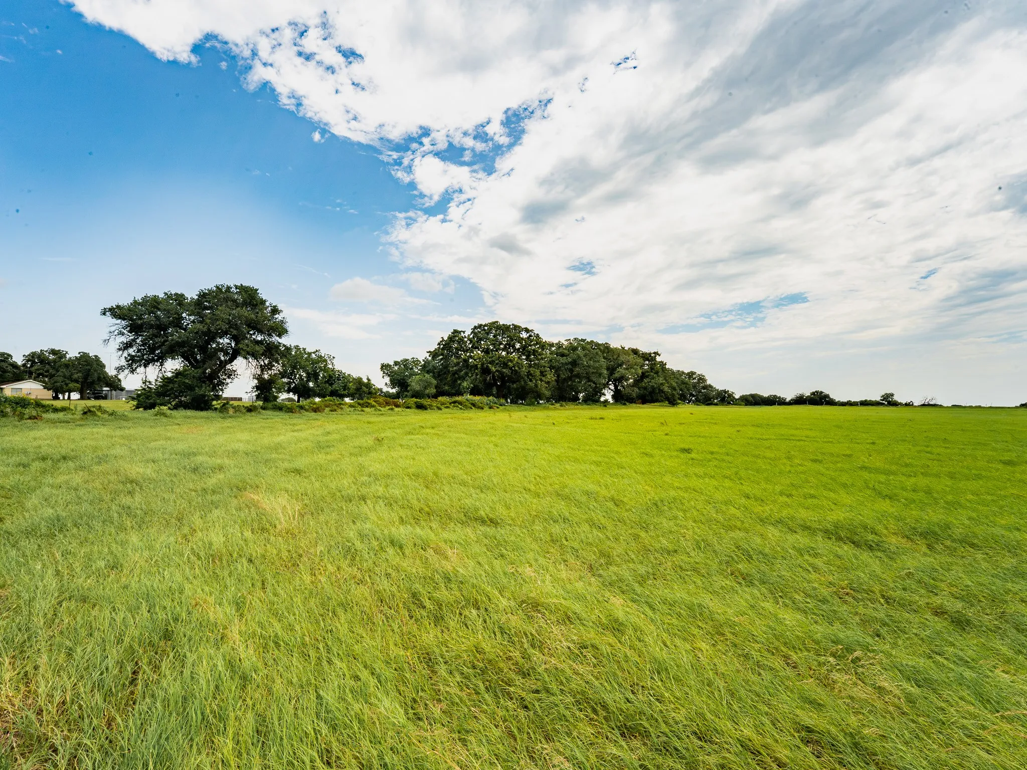 Farm For Sale in Wise County , 207 Cr-1750, Chico, Texas 76431, 3 Bedroom, 2 Bathroom, 2 Garage spaces, 2,224 Sqft, built in 1959, mls#21317101, Real Estate Agent in Chico, Homes For Sale in Wise county, Homes For Sale in Chico, Realtor in Chico Texas, Real Estate Brokerage Independent Realty Texas, Luminita Cordes Realtor